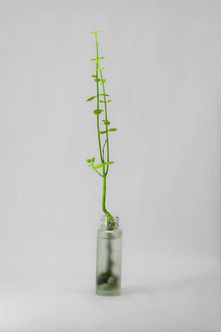 Photo "Micro-investments efficiency of profits"