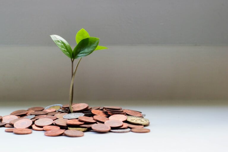 Photo Financial literacy