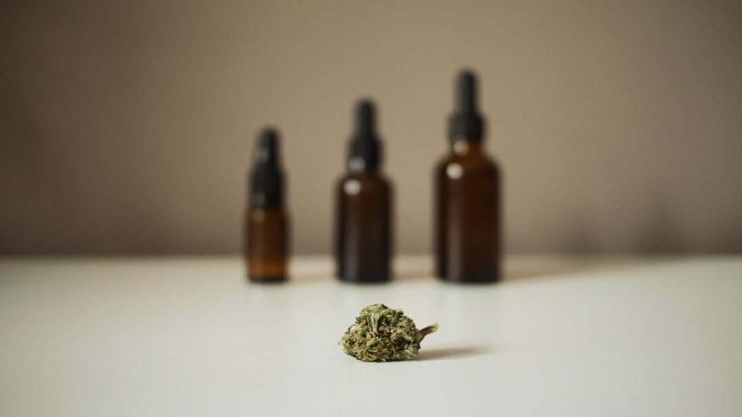 Photo herbal therapy safety