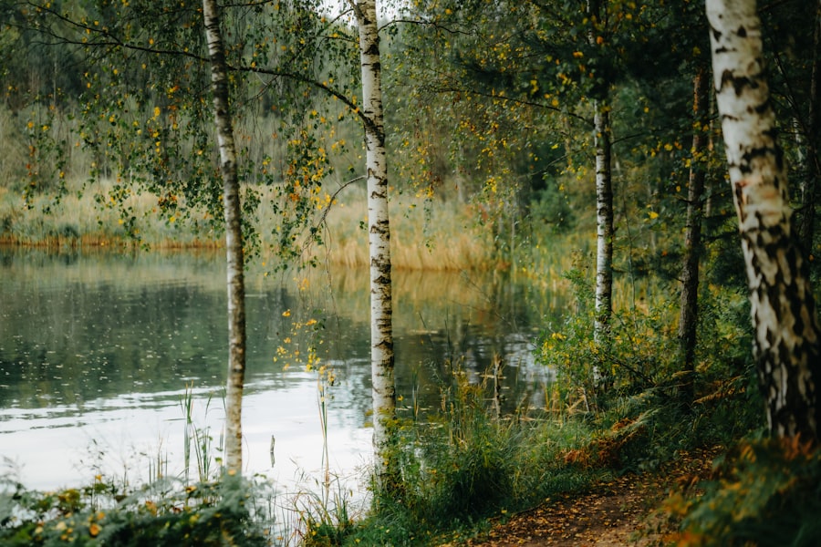 Ajurweda