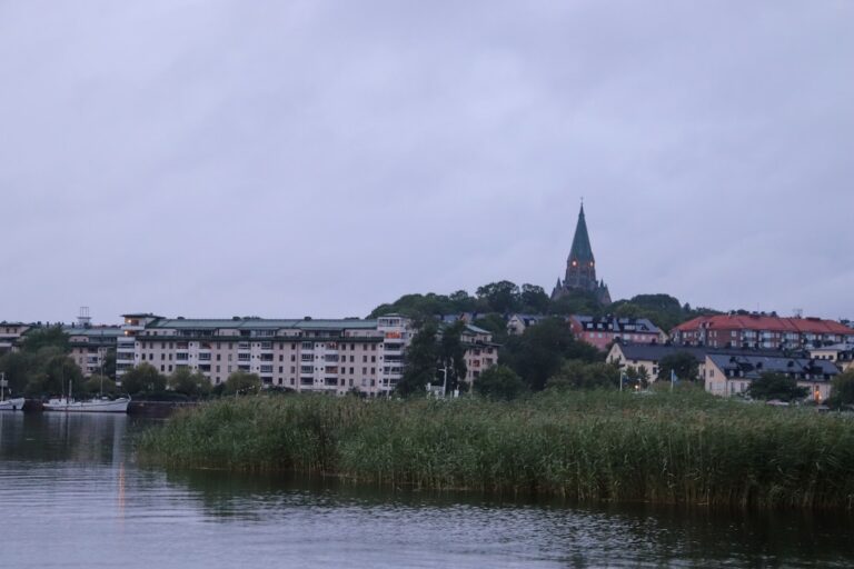 Photo Ajurweda