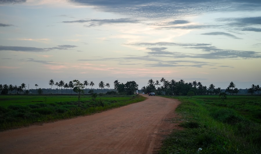 Photo Ajurweda