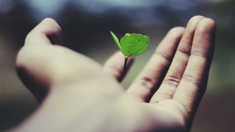 Photo life insurance
