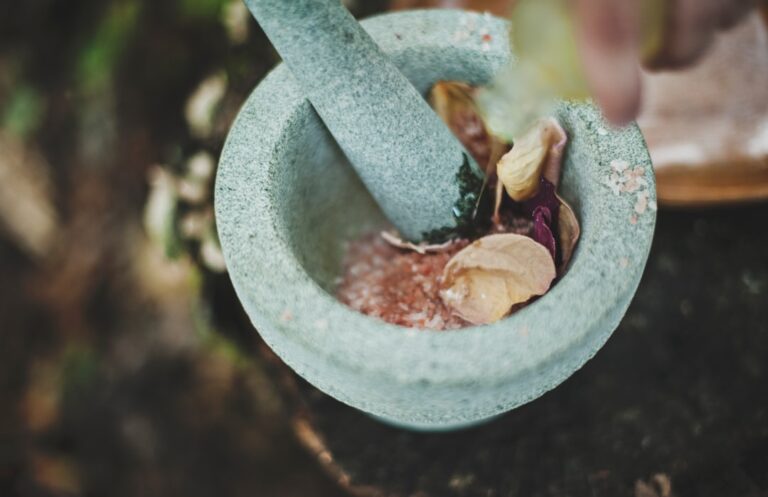 Photo herbal medicine research